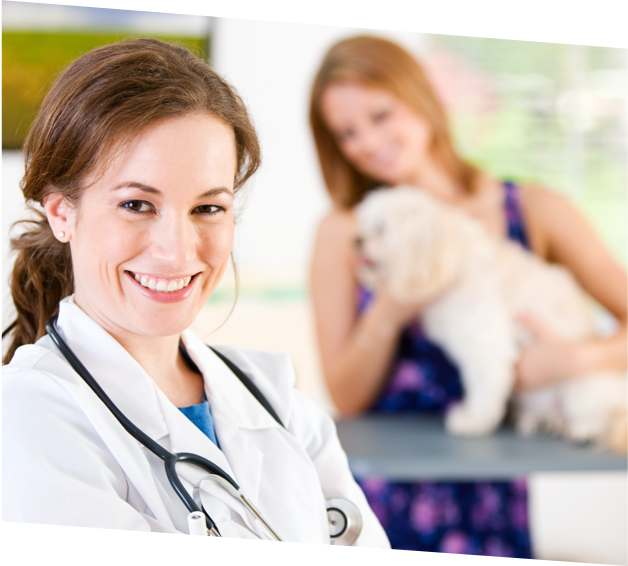 Veterinary Office Financing Financing Your Way Financing Your Way